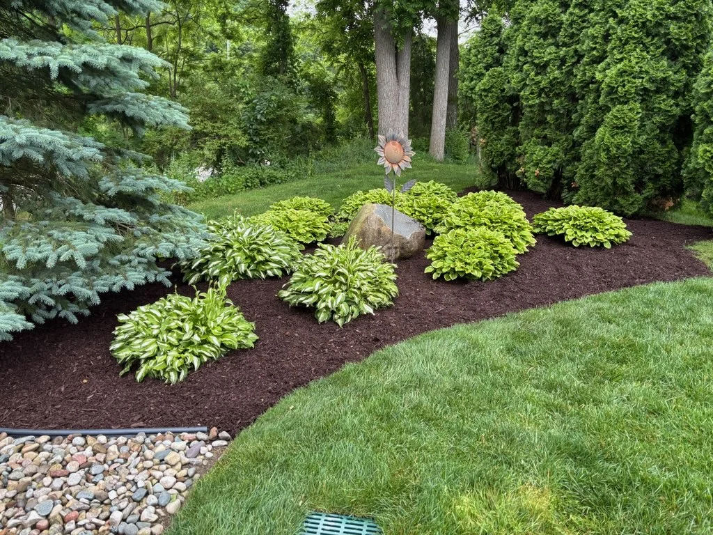 Hostas garden bed in Milford, MI