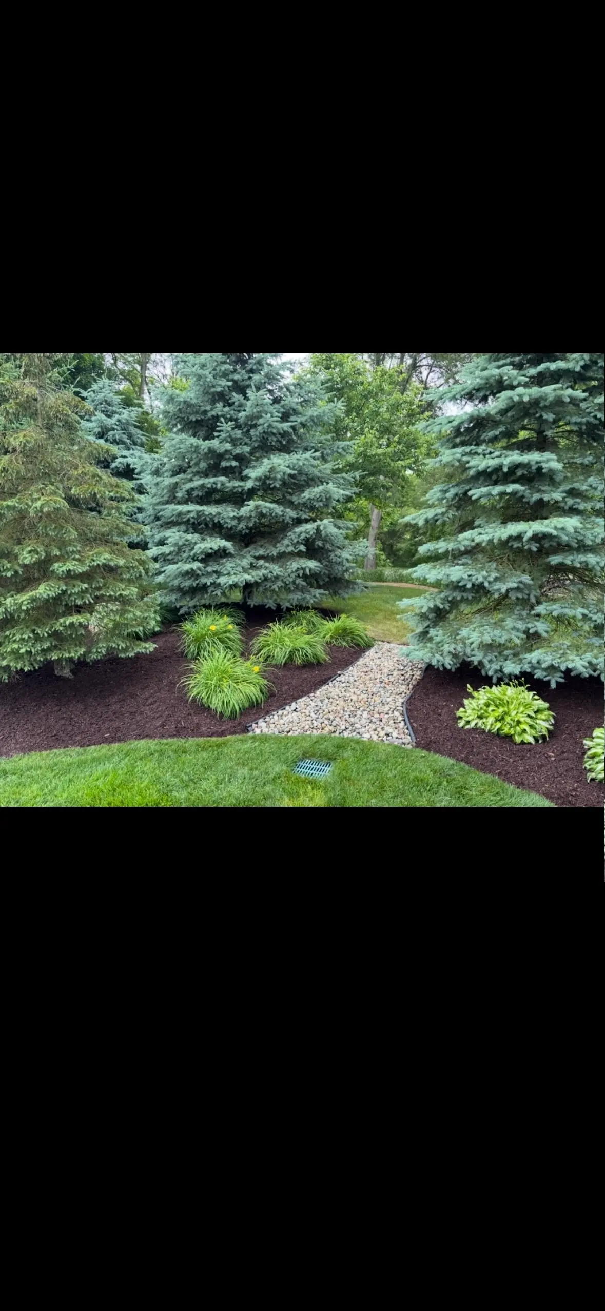 Beautiful landscaped yard in Milford, MI